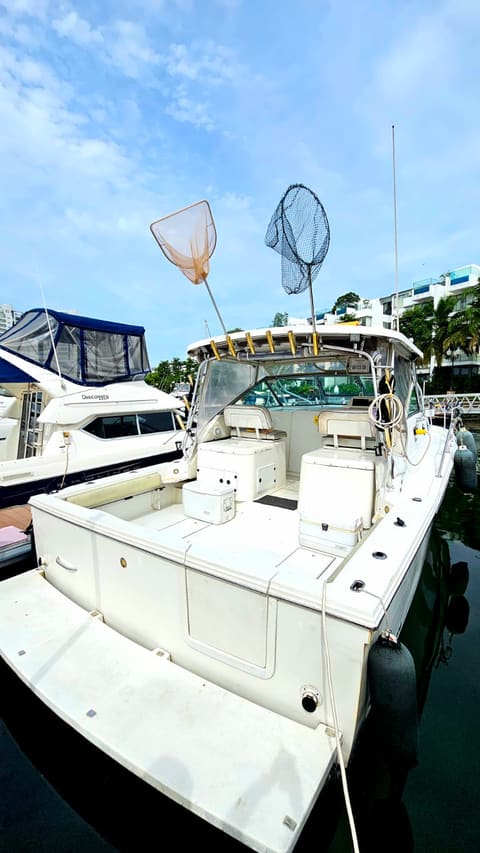 The open fishing cockpit at the berth, with landing nets, rod holders along the hardtop and cool boxes on the deck