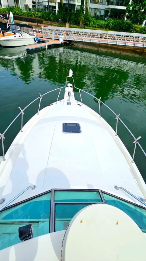 Looking down the foredeck from the hardtop towards the marina pontoon