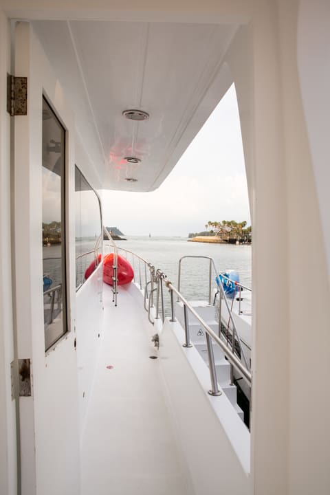 Side deck with the two kayaks stowed forward